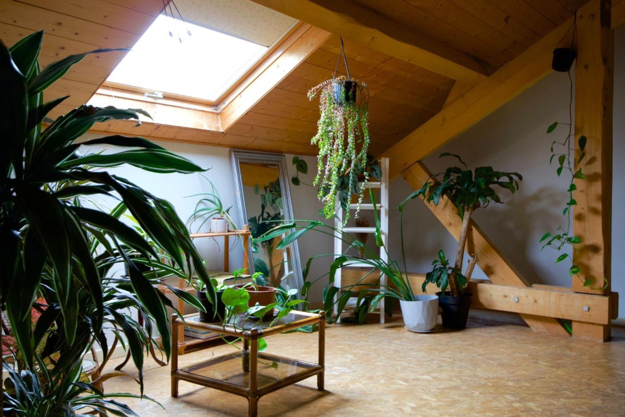 Loft Haut De Gamme Entre Verdure Et Ville Chaudefontaine  Екстериор снимка